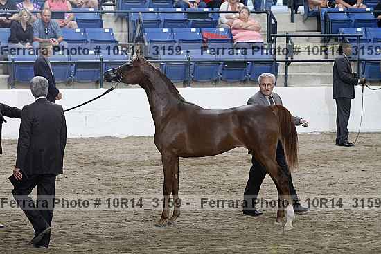 Proof Number 10r14_3159