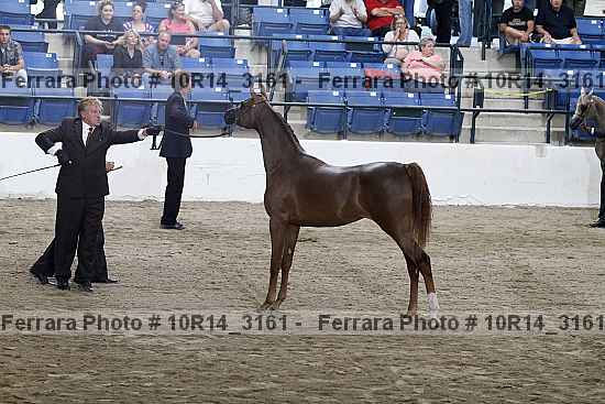 Proof Number 10r14_3161