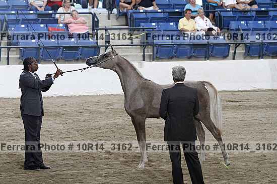 Proof Number 10r14_3162