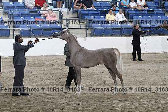 Proof Number 10r14_3163