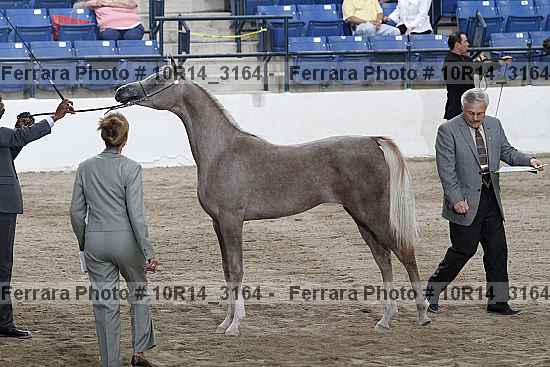 Proof Number 10r14_3164