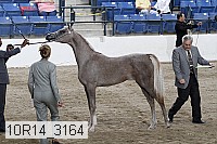 10r14_3164 thumbnail