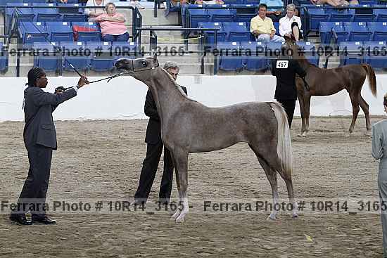 Proof Number 10r14_3165