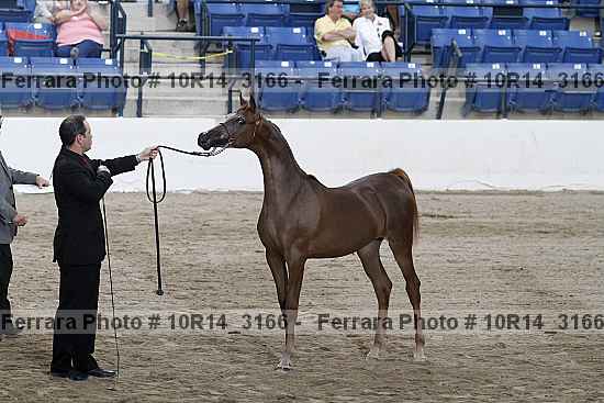 Proof Number 10r14_3166