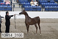 10r14_3166 thumbnail