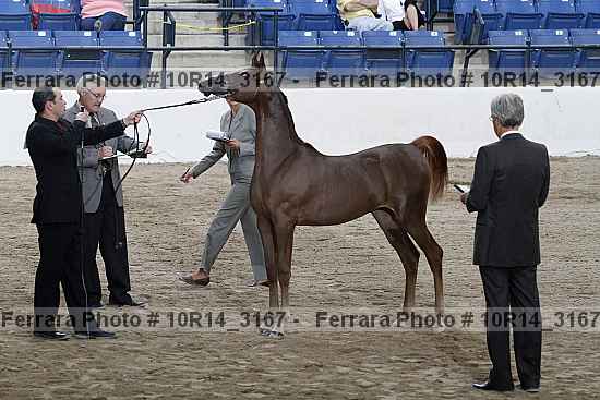 Proof Number 10r14_3167