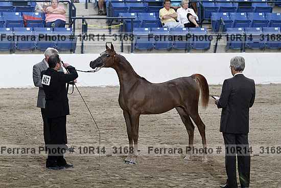 Proof Number 10r14_3168