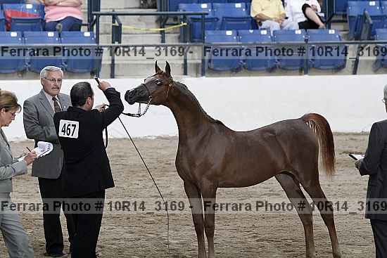 Proof Number 10r14_3169