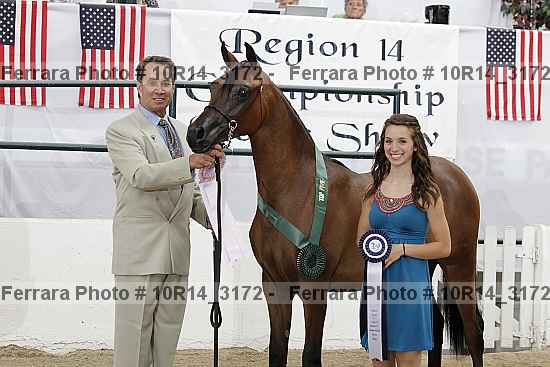 Proof Number 10r14_3172