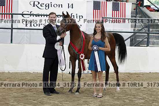 Proof Number 10r14_3173