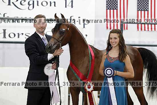 Proof Number 10r14_3175