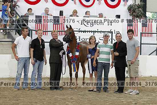 Proof Number 10r14_3176