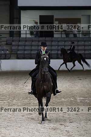 Proof Number 10r14_3242