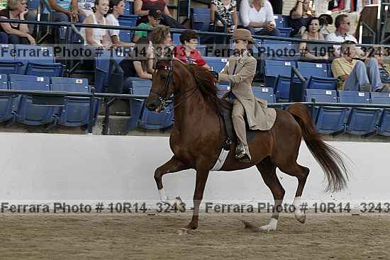 Proof Number 10r14_3243