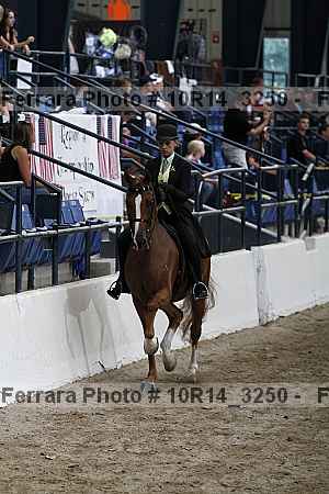 Proof Number 10r14_3250