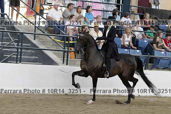 Proof Number 10r14_3251
