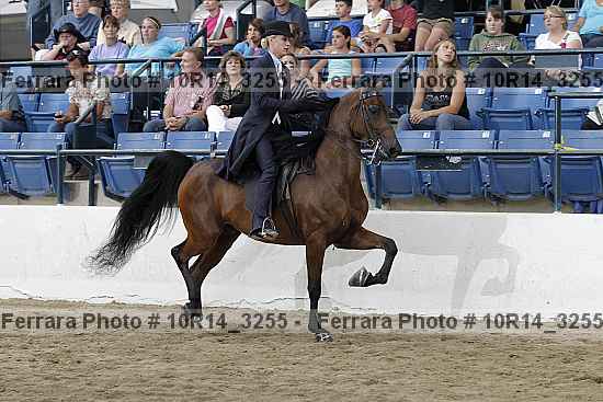Proof Number 10r14_3255