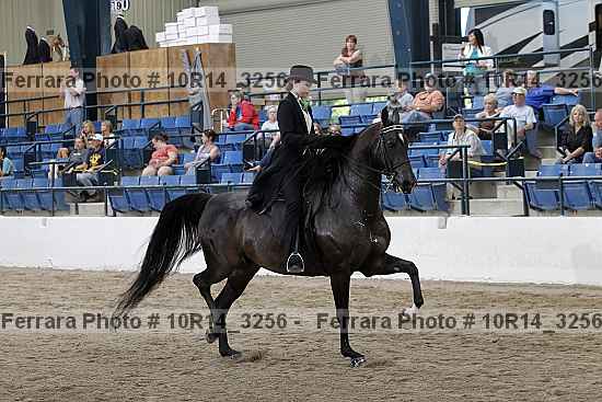 Proof Number 10r14_3256