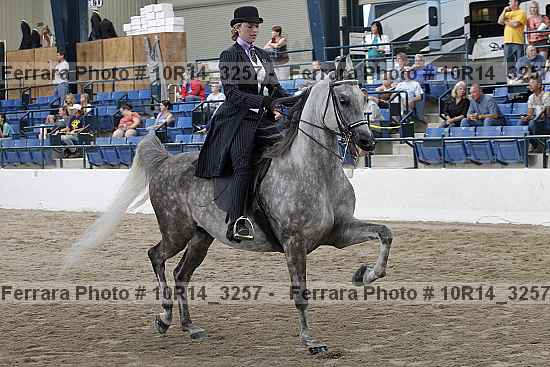 Proof Number 10r14_3257
