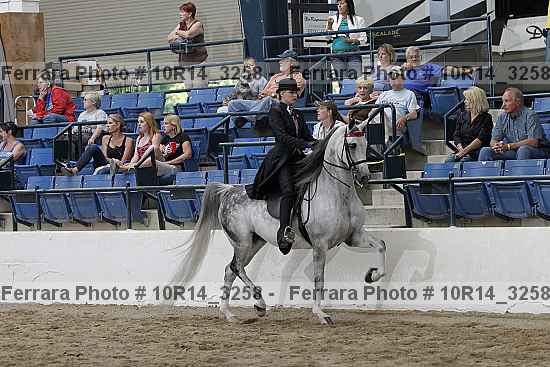 Proof Number 10r14_3258