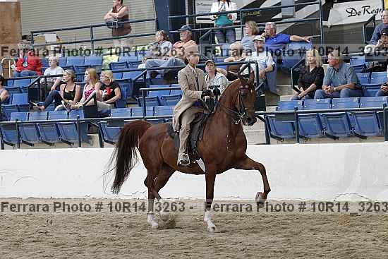 Proof Number 10r14_3263