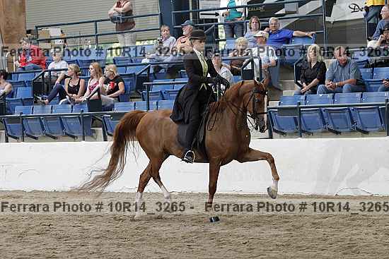 Proof Number 10r14_3265