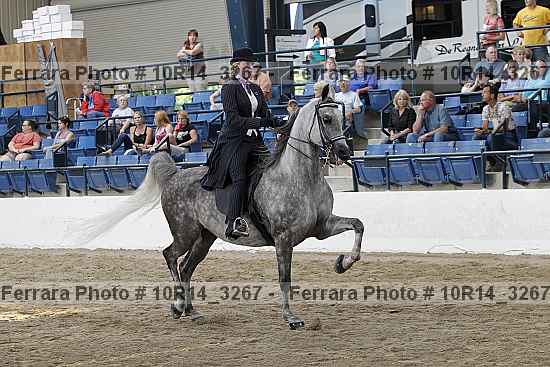 Proof Number 10r14_3267