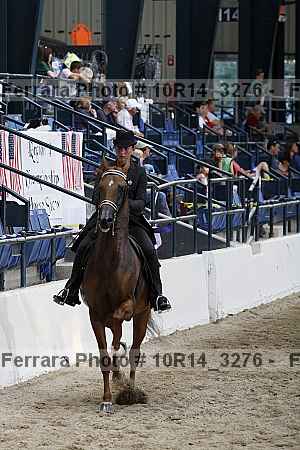 Proof Number 10r14_3276