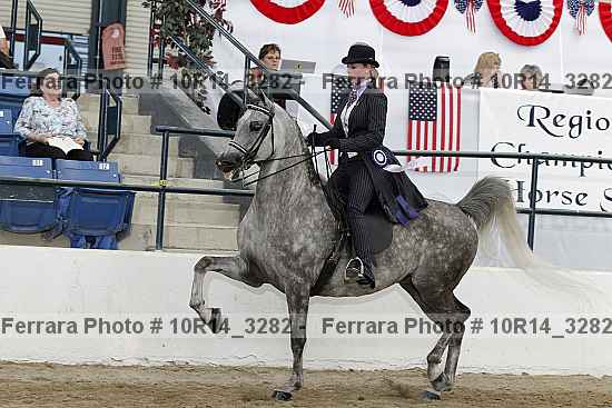 Proof Number 10r14_3282