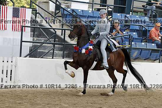 Proof Number 10r14_3286