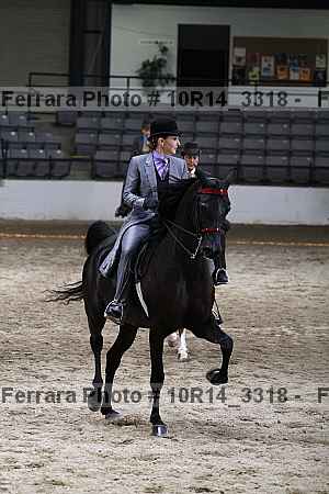 Proof Number 10r14_3318