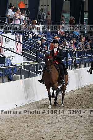 Proof Number 10r14_3320
