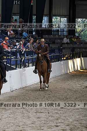 Proof Number 10r14_3322
