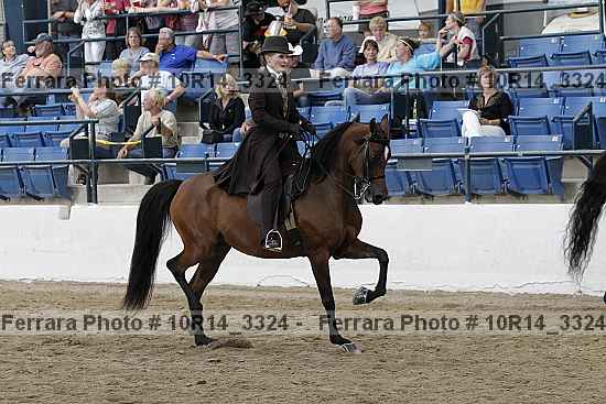 Proof Number 10r14_3324