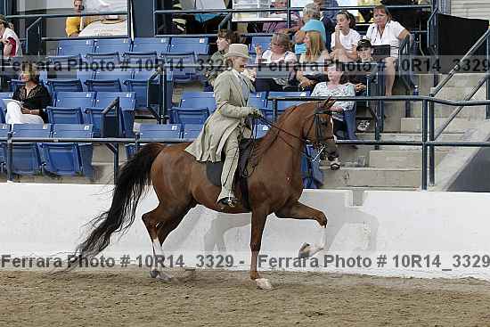 Proof Number 10r14_3329