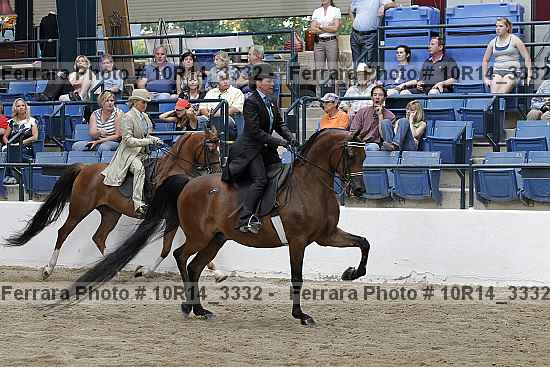 Proof Number 10r14_3332