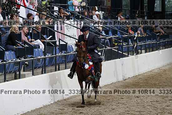 Proof Number 10r14_3335