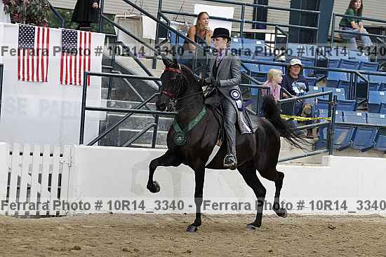 Proof Number 10r14_3340
