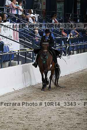 Proof Number 10r14_3343