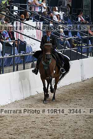 Proof Number 10r14_3344