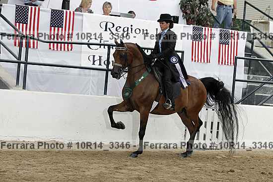 Proof Number 10r14_3346
