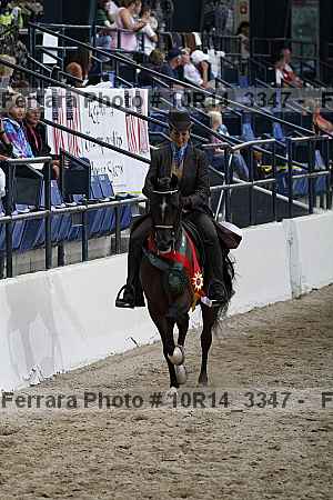 Proof Number 10r14_3347