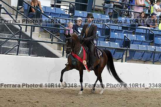 Proof Number 10r14_3348