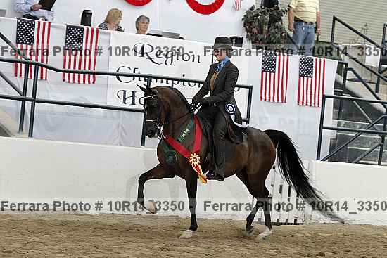Proof Number 10r14_3350