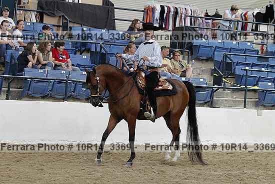 Proof Number 10r14_3369