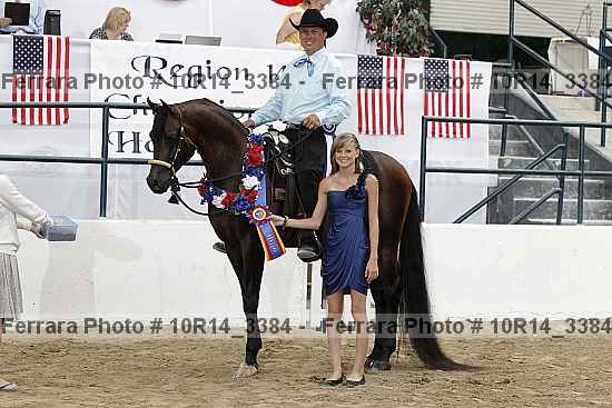 Proof Number 10r14_3384