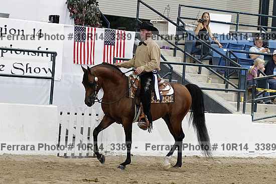Proof Number 10r14_3389