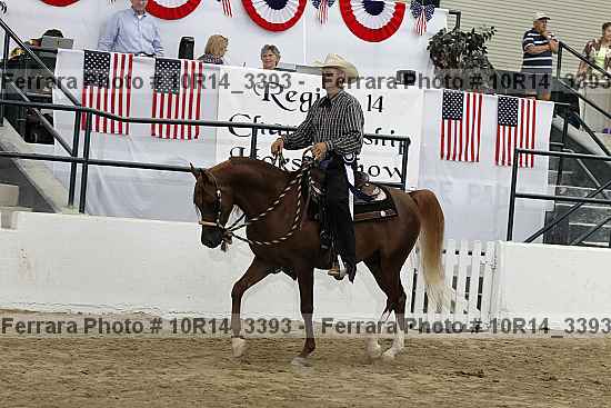 Proof Number 10r14_3393