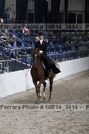 Proof Number 10r14_3414