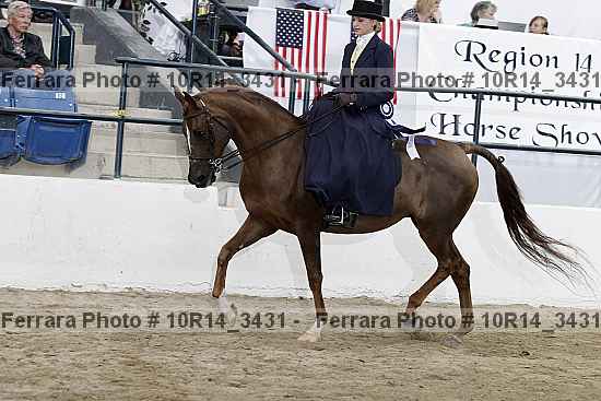 Proof Number 10r14_3431
